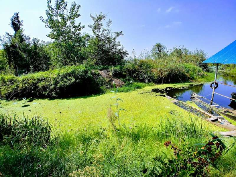 پارک ملی بوجاق؛ طبیعت بکر و دست نخورده گیلان