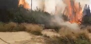 آتش سوزی در نزدیک تل آویو/ توقف حرکت قطار در چند شهرک صهیونیست نشین + فیلم

