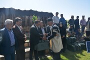 فرماندار: ۷۰ پنل خورشیدی بین عشایر شهرستان بروجن توزیع شد
