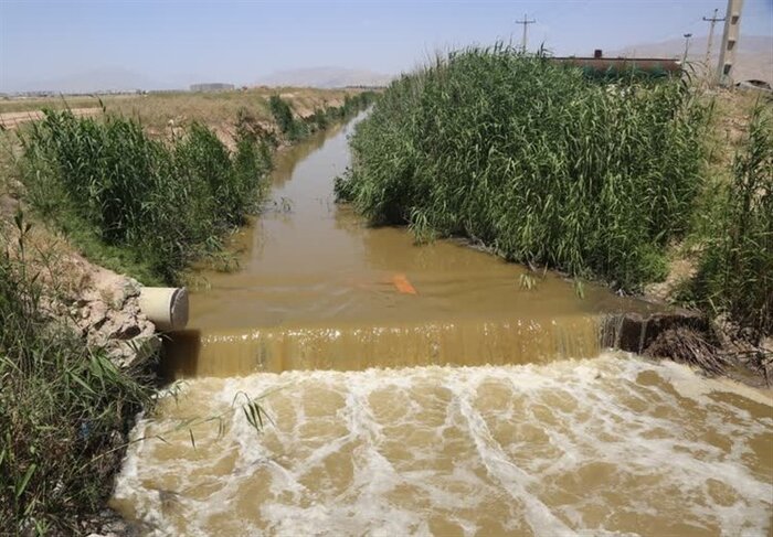 محصولات کشاورزی فاضلابی سر سفره شهروندان شیراز ، آیا این بساط برچیده می شود؟