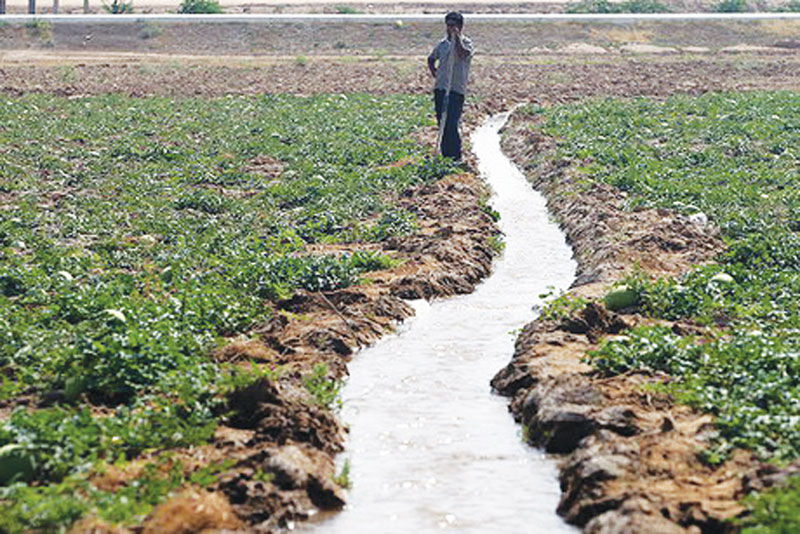 تاکید بر افزایش بهره‌وری آب در بخش کشاورزی مراغه