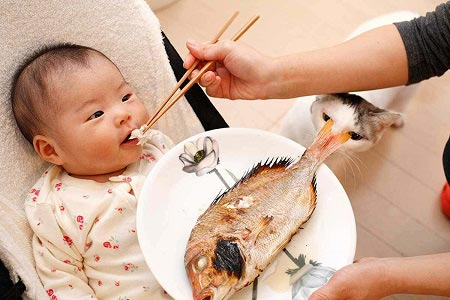 کودک از چه سنی میتواند ماهی بخورد؟
