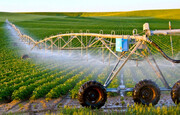 وزارت نیرو سهم آب بخش کشاورزی را به صورت حجمی تحویل دهد