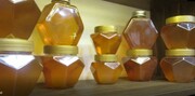 کشف چهار تن عسل غیرمجاز در اردکان/کلاهبرداری از ۱۵۰ نفر در سایت دیوار یزد