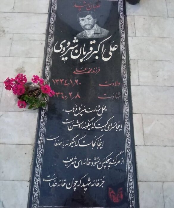 نامدارترین خلبان جهان کیست؟+ فیلم