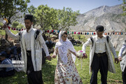 ایران میں بختیاری قبیلے کی روایتی شادی تقریب کے انعقاد کے مناظر
