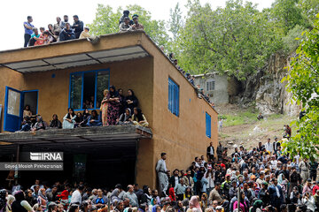 Festival of strawberry in western Iran