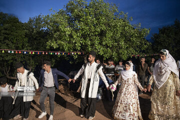 Bakhtiari wedding