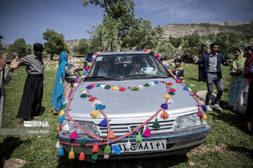 Bakhtiari wedding