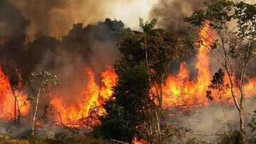 آتش‌سوزی بوستان دوبرار بجنورد مهار شد