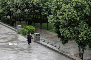 افزایش پنج درصدی بارش‌های استان اردبیل در مقایسه با دوره بلندمدت