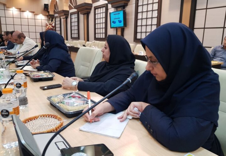 اجرای یکهزار میلیارد تومان پروژه برقرسانی؛ رهاورد دولت سیزدهم برای بوشهریها