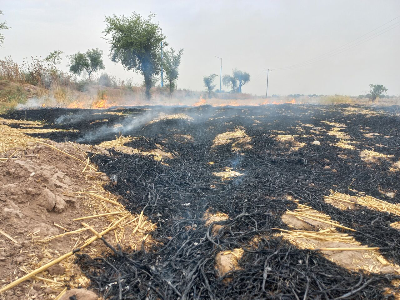 آتش سوزی زمین‌های کشاورزی کابوس فصل برداشت