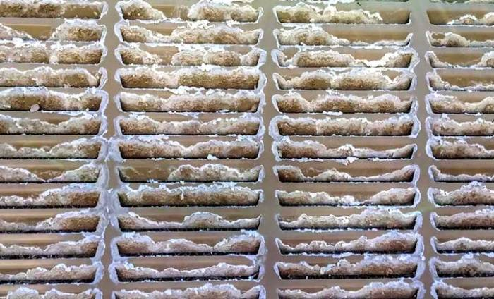 روشهای تمیز کردن رسوب و شوره کولرهای آبی