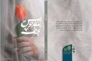 کتاب عروس نجف در بوشهر رونمایی شد