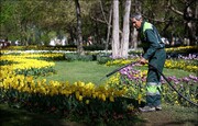 عضو شورای شهر: زیبایی بصری ارومیه نباید خدشه دار شود