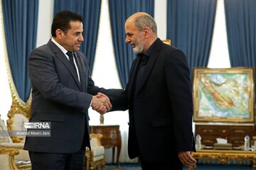 Rencontre entre le conseiller irakien à la sécurité nationale et le secrétaire du Conseil suprême de sécurité nationale d'Iran