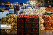 بهار صادرات کشاورزی در پاییز فارس؛ ثبت رُشد ۳۱درصدی