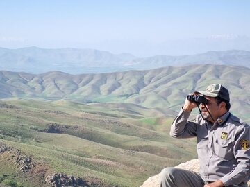 ۹۱۳ متخلف زیست محیطی در لرستان دستگیر شدند