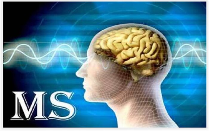 170399430 «ام اس» در کمین بانوان مازندرانی+فیلم