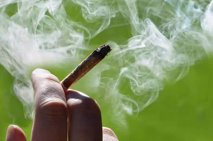 «گُل» از هر ۶ جوان گریبان یکی را میگیرد