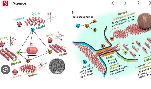تاثیرگذاری جمعی رباتها؛ تحقیقات درباره رفتار تودهای میکرورباتها تاثیرگذاری جمعی رباتها؛ تحقیقات درباره رفتار تودهای میکرورباتها