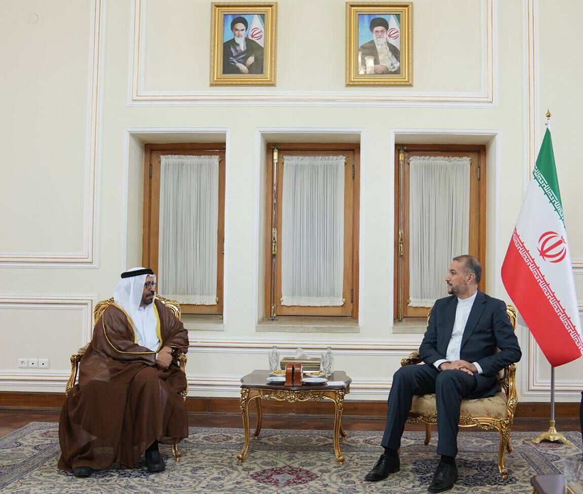 Iran, UAE to expand ties via gov't, private sectors cooperation: FM