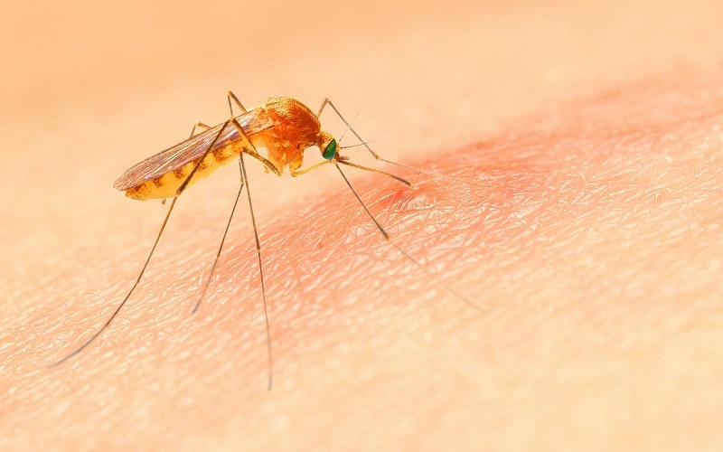 بیماریهای رایج در سفر کدامند؟