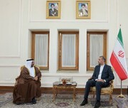Irán y EAU desarrollarán sus relaciones en sectores privados y públicos 