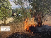  آتش‌سوزی در پارک ملی تندوره خراسان رضوی به موقع مهار شد