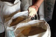 مراکز خرید برنج در بابل افزایش یافت
