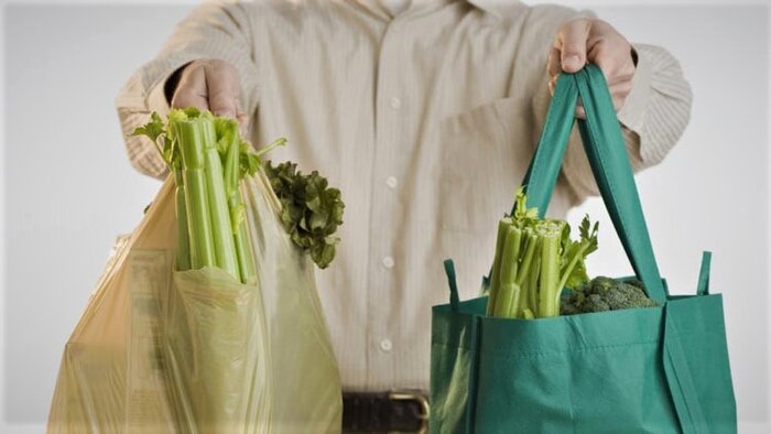 زمین، خانه ما؛ چگونه با انتخابهای ساده محافظ آن باشیم؟