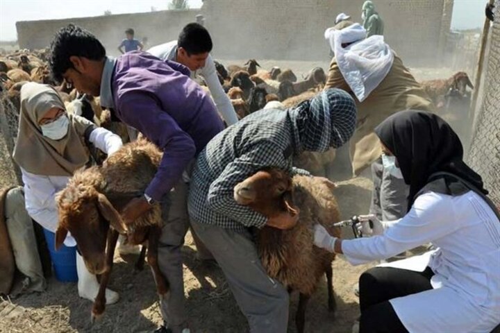 گرمای هوا و زنگ خطر کریمه کنگو تب دار در فارس