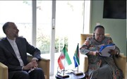 امیرعبداللہیان کی جنوبی افریقی وزیر خارجہ سے ملاقات