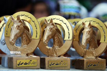 Pure Turkmen Horse Beauty National Festival