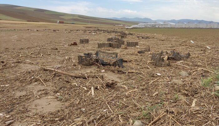 بلایای طبیعی ۱۸ هزار میلیارد ریال به بخش کشاورزی گرمی و انگوت خسارت زد
