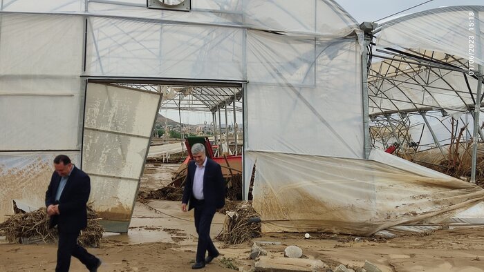 بلایای طبیعی ۱۸ هزار میلیارد ریال به بخش کشاورزی گرمی و انگوت خسارت زد