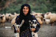 Iran : les nomades Laki au Lorestan