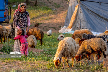 Migración de nómadas Lak en Lorestán