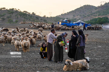 Iran : les nomades Laki au Lorestan