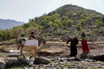 Iran : les nomades Laki au Lorestan