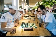 سرپرست فدراسیون شطرنج معارفه شد