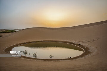 Pasab wetland in central Iran