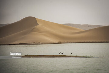 Pasab wetland in central Iran