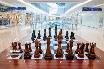 استعدادهای شطرنج در قزوین کم نظیرند