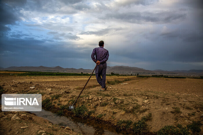 خشکسالی در مازندران +فیلم