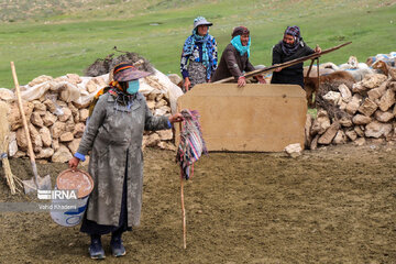 Doctors voluntarily give services to nomads in northeast Iran