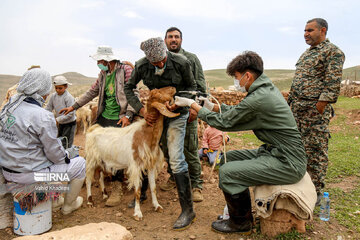 Doctors voluntarily give services to nomads in northeast Iran