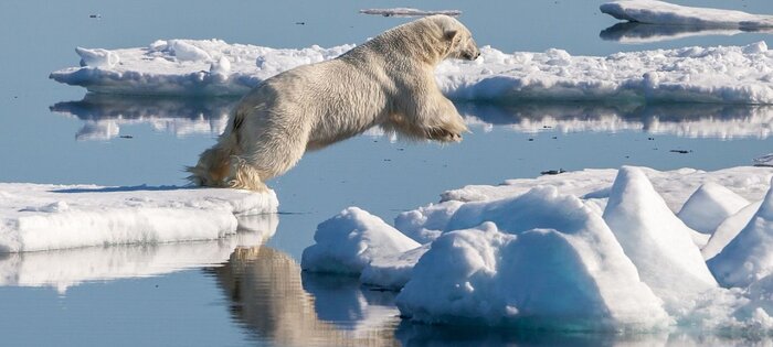 تابستان قطبی «بدون یخ» در راه است
