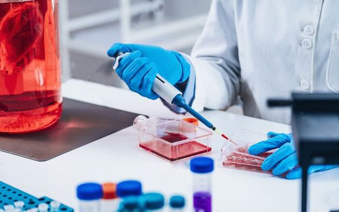 سلولهای بنیادی خونساز امیدی برای حیات دوباره بیماران